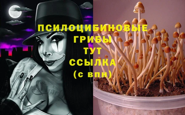 тгк Баксан
