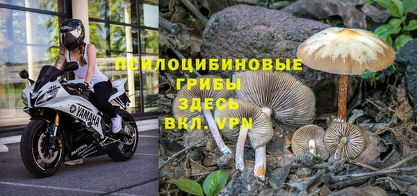 тгк Баксан
