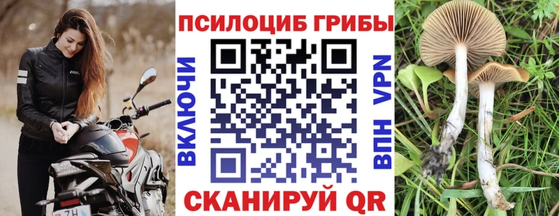 Галлюциногенные грибы мухоморы  Афипский 